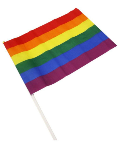 Drapeau Rainbow avec manche 20 x 28cm 