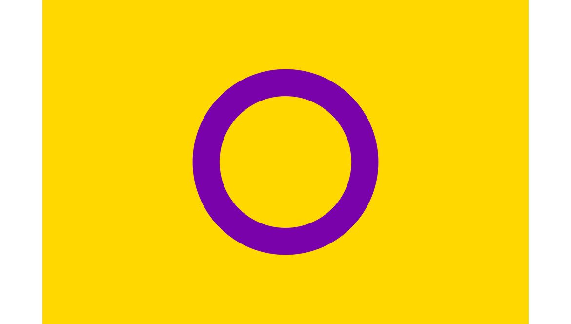 2026-11-08 Journée de la visibilité intersexe